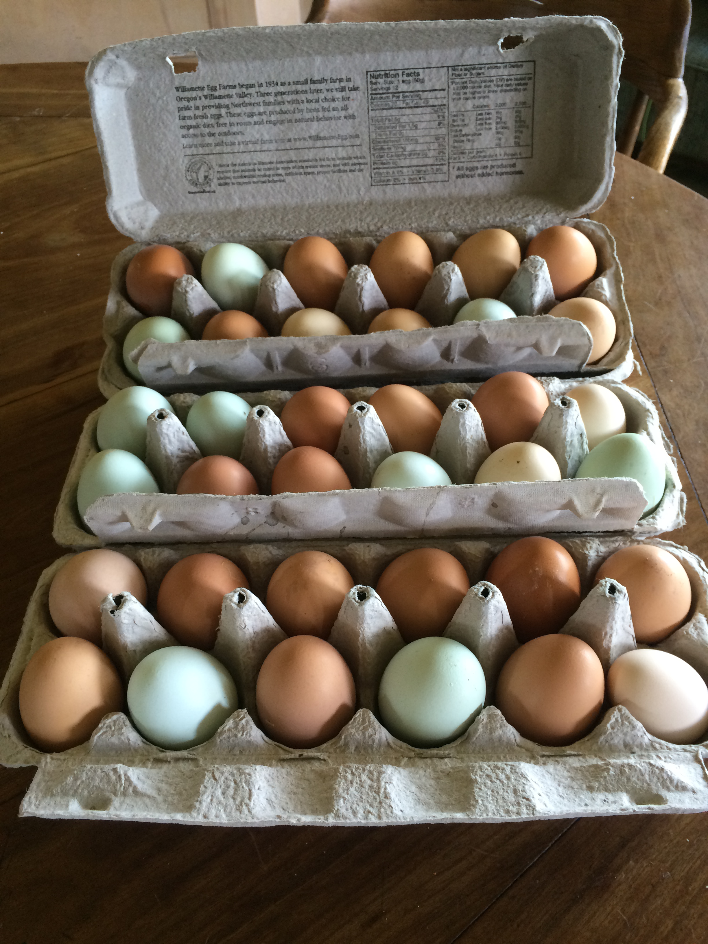 eggs.png